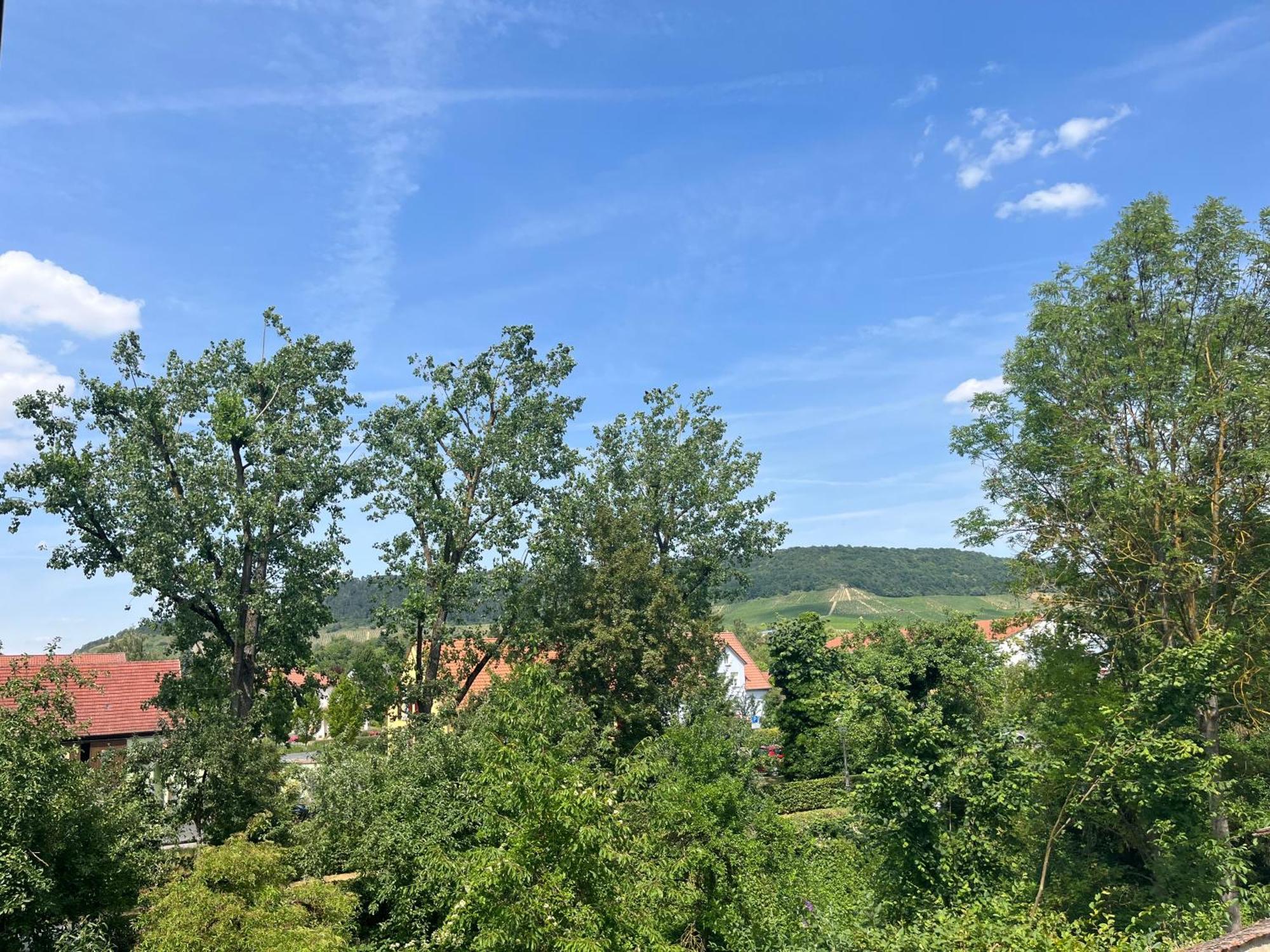 Neu - Wenkheimer Hof Scheunen-loft * Iphofen