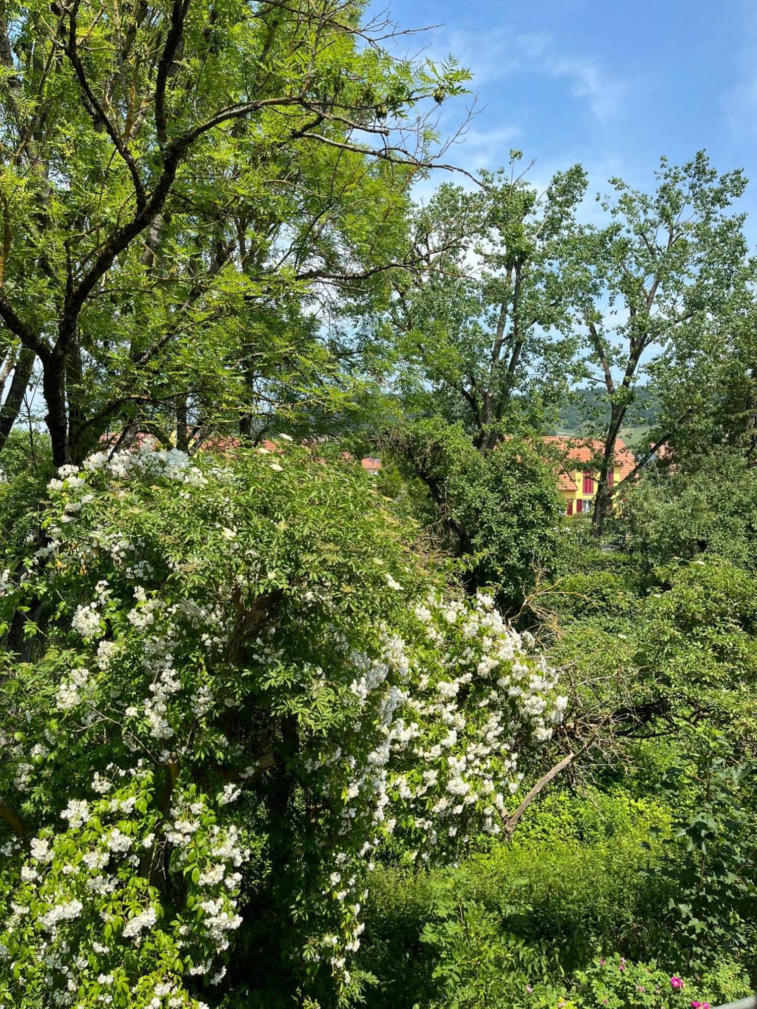 Apartment Neu - Wenkheimer Hof Scheunen-loft